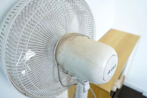 拜拜了空调，这台风扇亲测后我就没关过