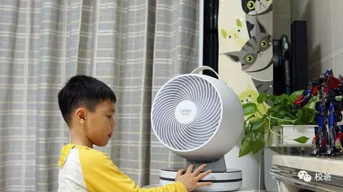 柔风送爽，清凉一夏 利维斯顿空气循环扇体验分享